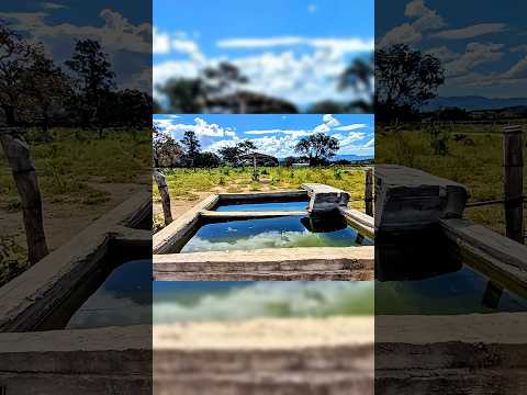 Tá saindo menos de vinte e dois mil o alqueire dessa fazenda em Cavalcante Goiás