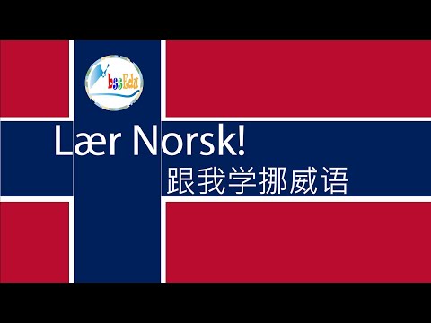 【跟我学挪威语 L&aelig;r Norsk!】（双语跟读）第24单元：喜欢某事/ville noe 1; 想要什么东西/ville noe 2; 必须做某事/m&aring;tte noe【HQ】#挪威 #挪威话