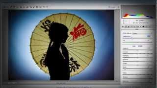 Adobe Production Premium CS6 Software Suite for Mac - Adorama