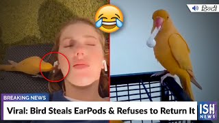 Viral: Bird Steals EarPods & Refuses to Return It