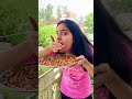 Channa Mereya Song Real Meaning Priyalkukreja Shorts Ytshorts