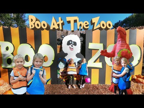 BOO AT THE ZOO KIDS animals music and fun with Harzel