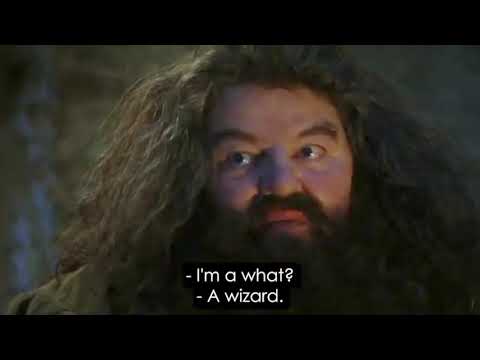 "You're a Wizard, Harry" Normal Movie Clip