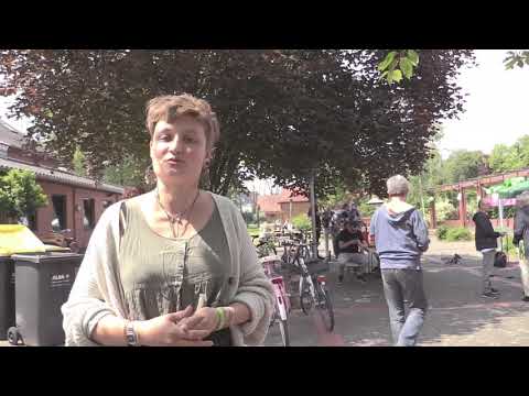 72-Stunden-Aktion: BDKJ Pulheim - Nachhaltigkeitsfestival