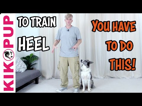 STOP UNWANTED behaviors with BACK UP