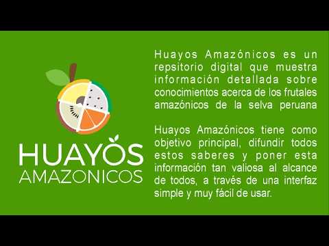 Huayos Amazónicos Video