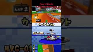 Secret Mario Kart DS Characters