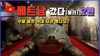 [하노이 2편] 우왓! 이렇게 큰 거북이가 베트남에???