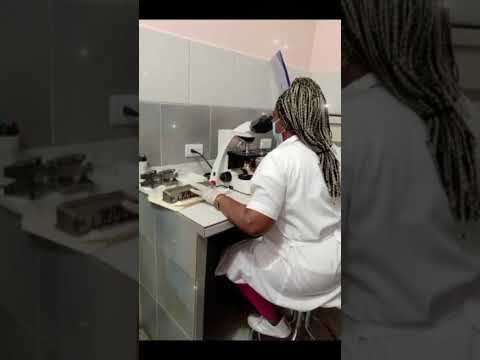 Historia de Vida a Colaborador