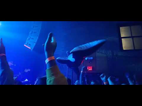 Smallpools LOVETAP! 10th Anniversary Tour Live At The Fine Line Cafe:11/5/2025