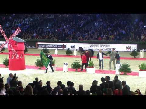 Memories of Paris - Champion Junior Male 2013