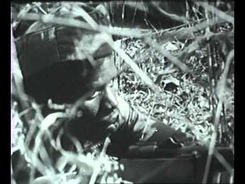 Anos de Guerra - Guiné 1963-1974