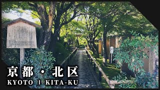 京都北区の夏虫が処暑を告げる神社仏閣3選 l Beautiful Japanese Garden in Summer【Kyoto Kita ku】