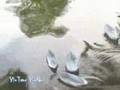 Hem Vang-Yen Trang & Yen Nhi 