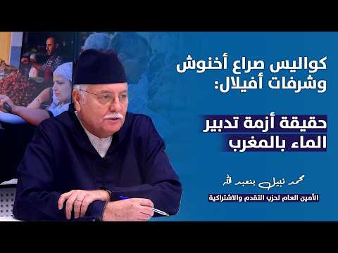 فيديو
