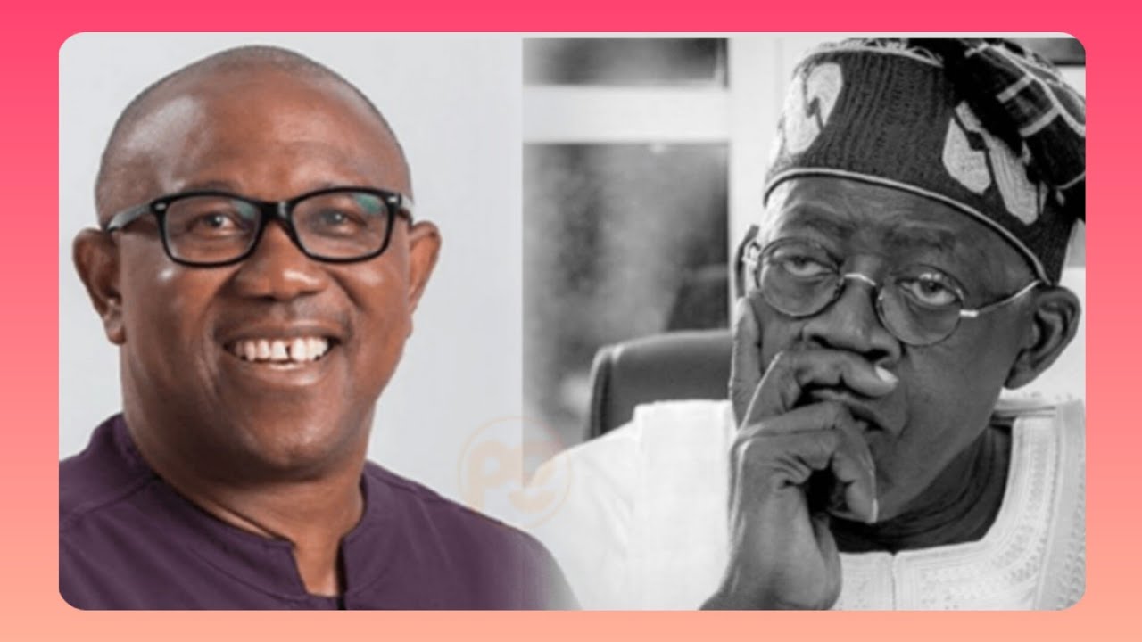 Tribunal: Peter Obi, Labour Party tender more documents against Tinubu...SEE YOURSELF