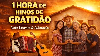 1 Hora de HINOS DE GRATIDÃO - Xote Louvor & Adoração