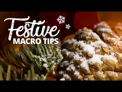 5 Tips for Festive Macro Photography ❄️