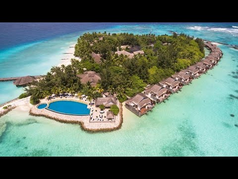 Videos del Taj Coral Reef Resort  Spa 5★ en Atolón de Malé Norte, MaldivasVer MásVerPrecios18CerrarConsulta por Whatsapp 🇦🇷BookingTripadvisorExpediaAgodaTravelocityOrbitzPricelineTripSkyscannerDespegarKayakHotelesDestiniaTrivagoAlmundoLastminuteTuiWotif