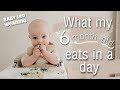 WHAT MY SIX MONTH OLD EATS IN A DAY! (Baby Led Weaning)