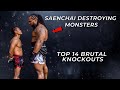 Saenchai S Brutal Knockouts Destroying Monsters