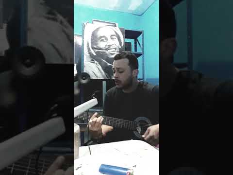 Um Novo Amanhecer - Planta e Raiz