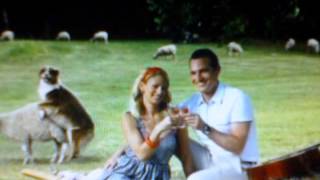 Die Ärzte Käfer (HQ)