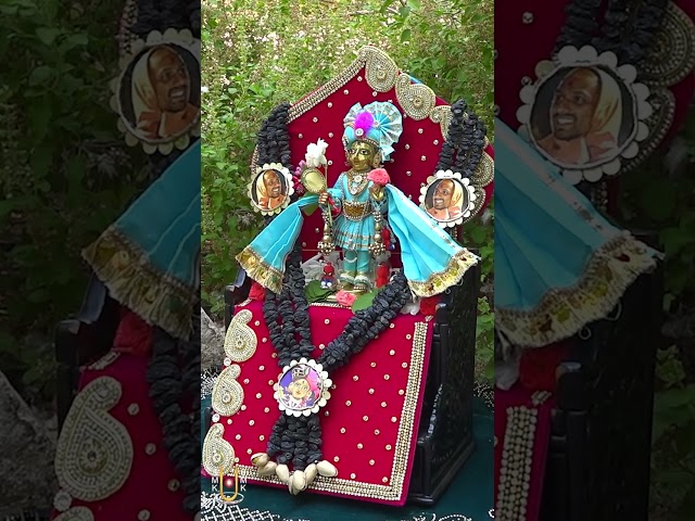હરિકૃષ્ણ મહારાજ
