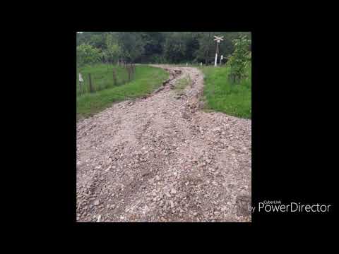 Pogorul de la Sinnicolau de Beiuș