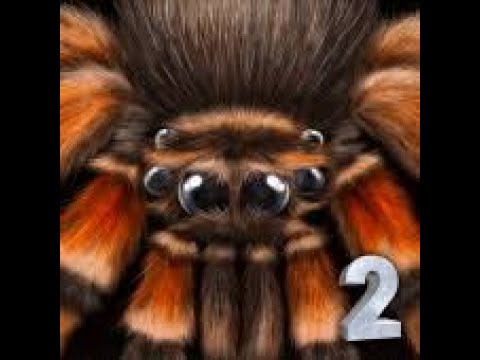 I Am A Spider :D | Ultimate spider simulator 2 | #1 - YouTube