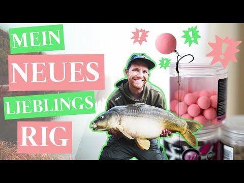 How To: Das Beste Karpfen Rig für Anfänger und Profis!