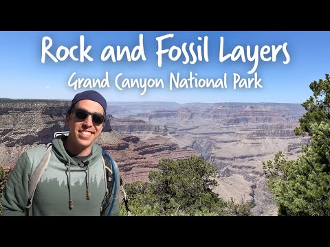 Unlocking Earth's History with Rock and Fossil Layers - Grand Canyon | OutSCIder Classroom