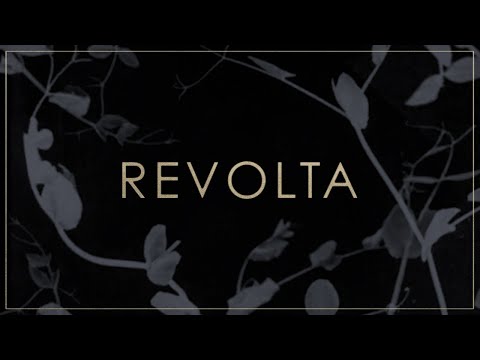 Boogie Belgique - Revolta (Official Music Video)