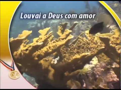 CD Jovem 2007 - Louvai a Deus