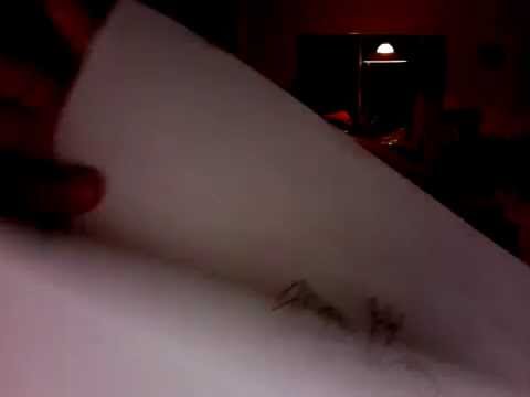 new ghost-dragon type pokemon