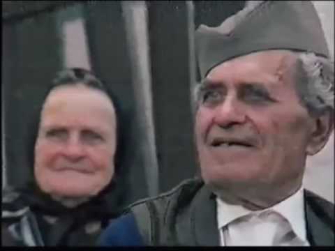 Radojka Živković svira i peva "Odakle si sele"