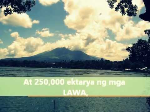 Mawalan ng timbang upang maging mas maganda Mawalan ng timbang sa kalabasa juice