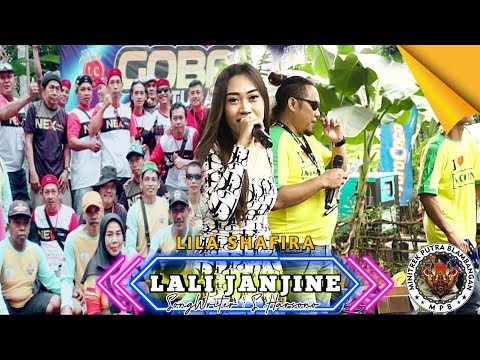 Lilla Shafira - Lali Janjine ( Official Live Music )