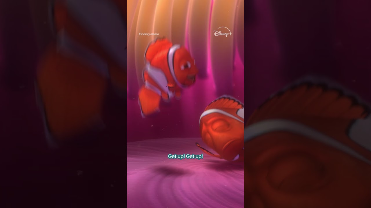 Channeling Nemo's energy this morning.
