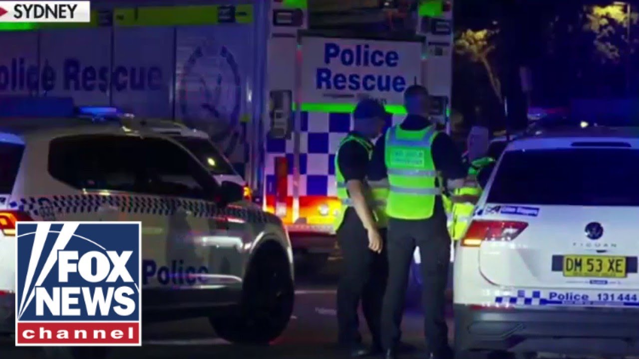 Questions surround how suspect in Sydney shooting obtained guns