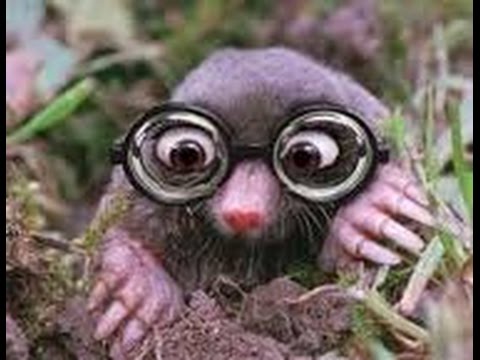 Cynical S08:E03 - Savage