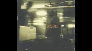 Steve Wynn - The Suitcase Sessions "Venus"
