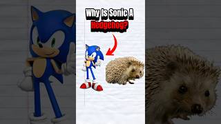 Download lagu Why Is Sonic A Hedgehog? 🦔 mp3 Download lagu Why Is Sonic A Hedgehog? 🦔 mp3