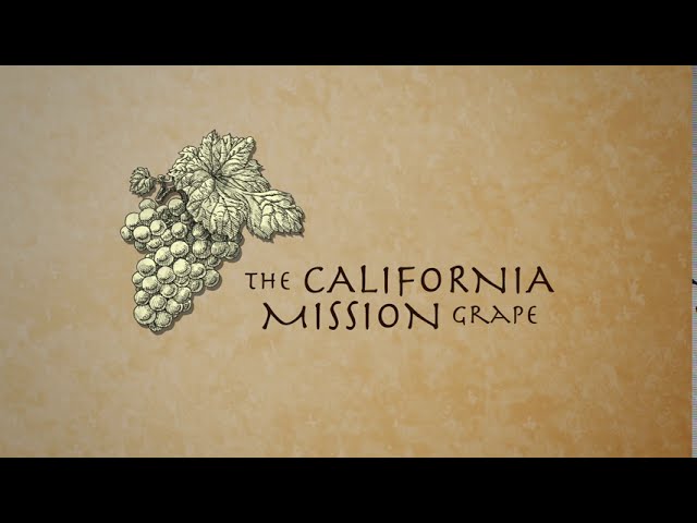 imagen-video-thefoodtech
