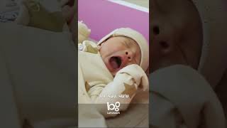 Միքայելի ուրախությունը🫀 #VerjinZang #ՎերջինԶանգ #Shorts #PanArmenianTVOfficial