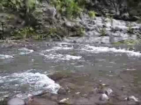 pourquoi la rivière au bord de l'eau