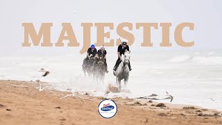The #1 Choice For Your Horse - Pryde's EasiFeed