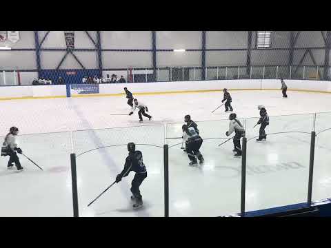 U14B Alderwick 1  vs Nepean bird 5