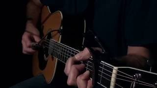 Wake me up - Avicii (Acoustic Cover by Horst Gössl)