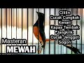 MURAI BATU GACOR FULL ISIAN TEMBAKAN CILILIN KAPAS TEMBAK KENARI CUCAK JENGGOT CUNGKOK DLL